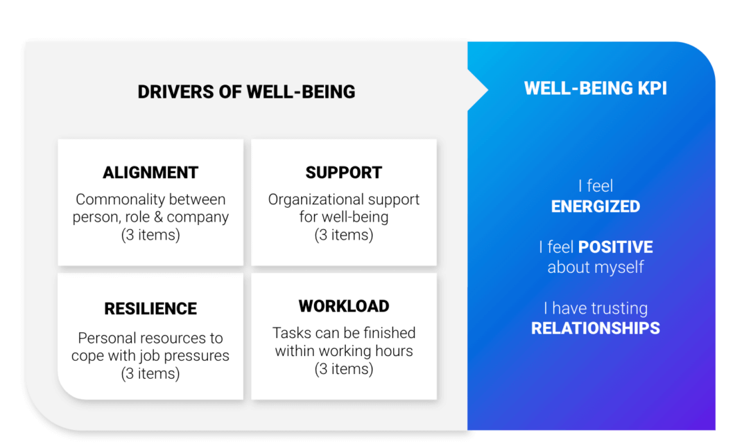 drivers of well being